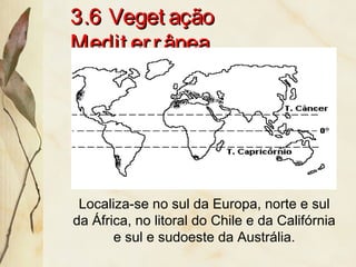 3.6 Veget ação3.6 Veget ação
Medit errâneaMedit errânea
Localiza-se no sul da Europa, norte e sul
da África, no litoral do Chile e da Califórnia
e sul e sudoeste da Austrália.
 