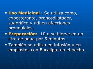 Uso Medicinal   :   Se utiliza como, expectorante, broncodilatador, sudorífico y útil en afecciones bronquiales. Preparación:   10 g se hierve en un litro de agua por 5 minutos. También se utiliza en infusión y en emplastos con Eucalipto en el pecho. 