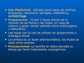 Uso Medicinal :  Utilzado para casos de resfríos, bronquitis, neumonía, faringitis, diaforético ,  antifebrífug o Preparación :  Tomar 3 tazas diarias de la infusión de las flores y las hojas, en caso de catarro o gripe, tomar caliente como antitusígeno y diaforético. Las hojas con la raíz se utilizan en gargarismos o enjuague bucal. La corteza es un buen antirreumático, los frutos se usan como laxante. Precauciones :  La semilla en dosis elevada es tóxica por tener heterósidos cianogénicos. 