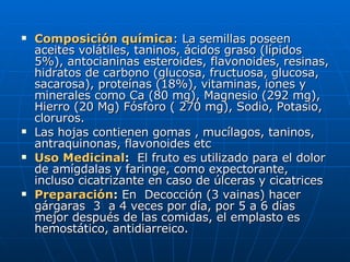 Composición química : La semillas poseen aceites volátiles, taninos, ácidos graso (lípidos 5%), antocianinas esteroides, flavonoides, resinas, hidratos de carbono (glucosa, fructuosa, glucosa, sacarosa), proteínas (18%), vitaminas, iones y minerales como Ca (80 mg), Magnesio (292 mg), Hierro (20 Mg) Fósforo ( 270 mg), Sodio, Potasio, cloruros. Las hojas contienen gomas , mucílagos, taninos, antraquinonas, flavonoides etc Uso Medicinal :  El fruto es utilizado para el dolor de amígdalas y faringe, como expectorante, incluso cicatrizante en caso de úlceras y cicatrices Preparación :  En  Decocción (3 vainas) hacer  gárgaras  3  a 4 veces por día, por 5 a 6 días mejor después de las comidas, el emplasto es hemostático, antidiarreico. 