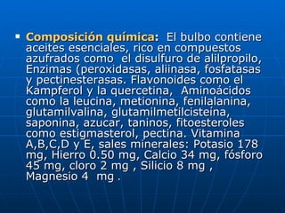 Composición química :  El bulbo contiene aceites esenciales, rico en compuestos azufrados como  el disulfuro de alilpropilo, Enzimas (peroxidasas, aliinasa, fosfatasas y pectinesterasas. Flavonoides como el Kampferol y la quercetina,  Aminoácidos  como la leucina, metionina, fenilalanina, glutamilvalina, glutamilmetilcisteína, saponina, azucar, taninos, fitoesteroles como estigmasterol, pectina. Vitamina A,B,C,D y E, sales minerales: Potasio 178 mg, Hierro 0.50 mg, Calcio 34 mg, fósforo 45 mg, cloro 2 mg , Silicio 8 mg , Magnesio 4  mg  . 