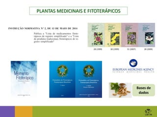 PLANTAS MEDICINAIS E FITOTERÁPICOS
30 (1999)
28 (1999) 31 (2007) 28 (2009)
Bases de
dados
 