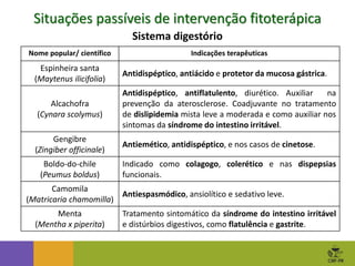 Situações passíveis de intervenção fitoterápica
Sistema digestório
Nome popular/ científico Indicações terapêuticas
Espinheira santa
(Maytenus ilicifolia)
Antidispéptico, antiácido e protetor da mucosa gástrica.
Alcachofra
(Cynara scolymus)
Antidispéptico, antiflatulento, diurético. Auxiliar na
prevenção da aterosclerose. Coadjuvante no tratamento
de dislipidemia mista leve a moderada e como auxiliar nos
sintomas da síndrome do intestino irritável.
Gengibre
(Zingiber officinale)
Antiemético, antidispéptico, e nos casos de cinetose.
Boldo-do-chile
(Peumus boldus)
Indicado como colagogo, colerético e nas dispepsias
funcionais.
Camomila
(Matricaria chamomilla)
Antiespasmódico, ansiolítico e sedativo leve.
Menta
(Mentha x piperita)
Tratamento sintomático da síndrome do intestino irritável
e distúrbios digestivos, como flatulência e gastrite.
 