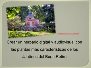 Procedencia de la imagen




Crear un herbario digital y audiovisual con
  las plantas más características de los
        ...