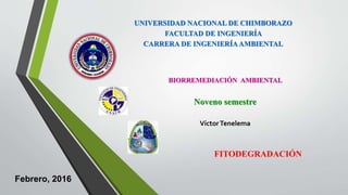 BIORREMEDIACIÓN AMBIENTAL
Noveno semestre
VíctorTenelema
Febrero, 2016
UNIVERSIDAD NACIONAL DE CHIMBORAZO
FACULTAD DE INGENIERÍA
CARRERA DE INGENIERÍAAMBIENTAL
FITODEGRADACIÓN
 