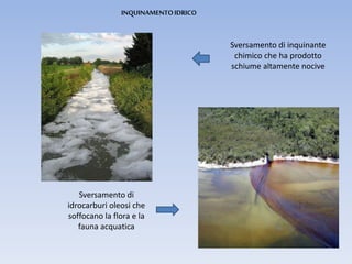 INQUINAMENTOIDRICO
Sversamento di inquinante
chimico che ha prodotto
schiume altamente nocive
Sversamento di
idrocarburi oleosi che
soffocano la flora e la
fauna acquatica
 