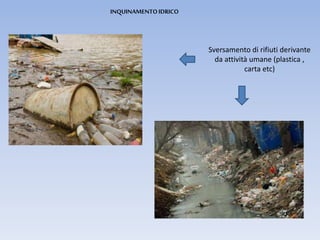 INQUINAMENTOIDRICO
Sversamento di rifiuti derivante
da attività umane (plastica ,
carta etc)
 