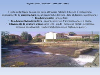 INQUINAMENTOIDRICO DELLA ROGGIA CERANA
Il tratto della Roggia Cerana che passa attraverso l’abitato di Cerano è contaminato
principalmente da scarichi urbani cioè gli scarichi che derivano dalle abitazioni e contengono :
• Residui metabolici (urine e feci)
• Residui da attività domestiche : saponi e detersivi, frammenti cartacei e di cibo
• Dilavamento da strutture urbane come tetti , strade , facciate di edifici : raccolgono
emissioni di autoveicoli, residui metabolici animali, fogliame e polveri.
 