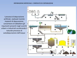 DEPURAZIONEARTIFICIALE : L’IMPIANTODI DEPURAZIONE
I processi di depurazione
artificiali, realizzati tramite
impianti di depurazione,
consentono di abbattere gli
inquinanti presenti negli scarichi
urbani e industriali accelerando il
naturale processo di
autodepurazione dell'acqua
 