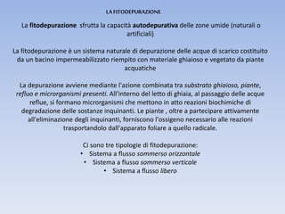 La fitodepurazione sfrutta la capacità autodepurativa delle zone umide (naturali o
artificiali)
La fitodepurazione è un sistema naturale di depurazione delle acque di scarico costituito
da un bacino impermeabilizzato riempito con materiale ghiaioso e vegetato da piante
acquatiche
La depurazione avviene mediante l'azione combinata tra substrato ghiaioso, piante,
refluo e microrganismi presenti. All'interno del letto di ghiaia, al passaggio delle acque
reflue, si formano microrganismi che mettono in atto reazioni biochimiche di
degradazione delle sostanze inquinanti. Le piante , oltre a partecipare attivamente
all'eliminazione degli inquinanti, forniscono l'ossigeno necessario alle reazioni
trasportandolo dall'apparato foliare a quello radicale.
Ci sono tre tipologie di fitodepurazione:
• Sistema a flusso sommerso orizzontale
• Sistema a flusso sommerso verticale
• Sistema a flusso libero
LA FITODEPURAZIONE
 