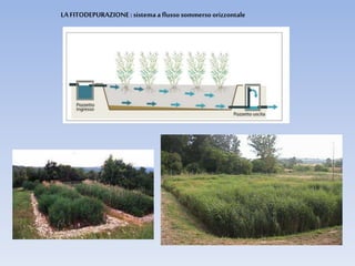 LA FITODEPURAZIONE: sistema aflusso sommerso orizzontale
 