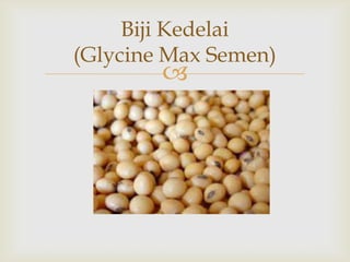 
Biji Kedelai
(Glycine Max Semen)
 