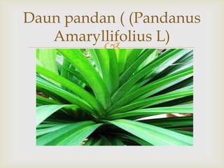
Daun pandan ( (Pandanus
Amaryllifolius L)
 