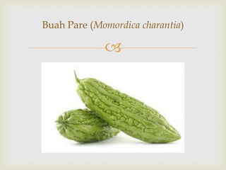 
Buah Pare (Momordica charantia)
 