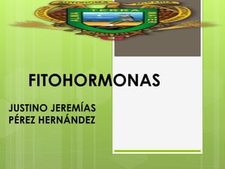 FITOHORMONAS 
JUSTINO JEREMÍAS 
PÉREZ HERNÁNDEZ 
 