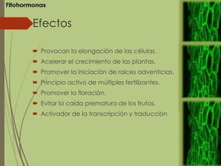 Efectos
 Provocan la elongación de las células.
 Acelerar el crecimiento de las plantas.
 Promover la iniciación de raíces adventicias.
 Principio activo de múltiples fertilizantes.
 Promover la floración.
 Evitar la caída prematura de los frutos.
 Activador de la transcripción y traducción
 