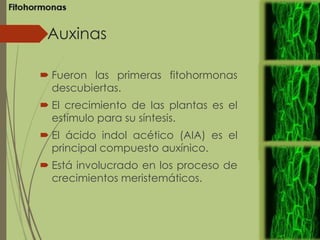 Auxinas
 Fueron las primeras fitohormonas
descubiertas.
 El crecimiento de las plantas es el
estímulo para su síntesis.
 El ácido indol acético (AIA) es el
principal compuesto auxínico.
 Está involucrado en los proceso de
crecimientos meristemáticos.
 