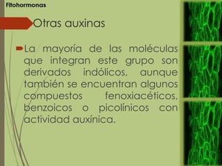 Otras auxinas
La mayoría de las moléculas
que integran este grupo son
derivados indólicos, aunque
también se encuentran algunos
compuestos fenoxiacéticos,
benzoicos o picolínicos con
actividad auxínica.
 