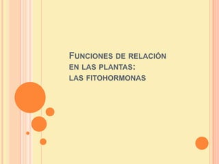 FUNCIONES DE RELACIÓN
EN LAS PLANTAS:
LAS FITOHORMONAS
 