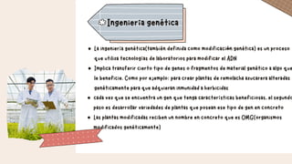 cada vez que se encuentra un gen que tenga características beneficiosas, el segundo
paso es desarrollar variedades de plantas que posean ese tipo de gen en concreto
Las plantas modificadas reciben un nombre en concreto que es OMG(organismos
modificados genéticamente)
La ingeniería genética(también definida como modificación genética) es un proceso
que utiliza tecnologías de laboratorios para modificar el ADN
Implica transferir cierto tipo de genes o fragmentos de material genético a algo que
le beneficie. Como por ejemplo: para crear plantas de remolacha azucarera alteradas
genéticamente para que adquieran inmunidad a herbicidas
Ingeniería genética
 