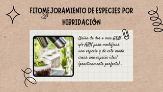 Unión de dos o mas ADN
y/o ARN para modificar
una especie y de este modo
crear una especie ideal
(practicamente perfecta) .
 
