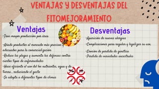 Ventajas
-Trae mayor producción por área
-Añade productos al mercado más precisos y
adecuados para la comercialización
-Reduce las plagas y aumenta las defensas contra
ciertos tipos de enfermedades
-Hace eficiente el uso del los nutrientes, agua y de
tierra , reduciendo el gasto
-Se adapta a diferentes tipos de climas
-Aparición de nuevas alergias
-Complicaciones para regular y legalizar su uso,
-Erosión de perdida de genética
-Perdida de variedades ancestrales
Desventajas
 