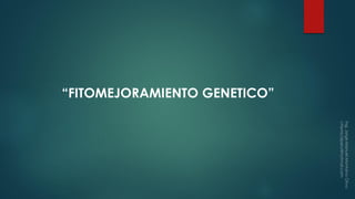 “FITOMEJORAMIENTO GENETICO”
 