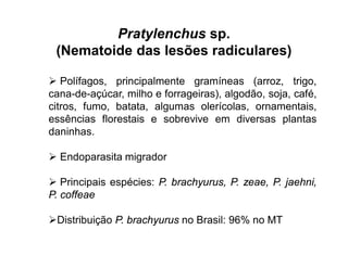 Pratylenchus sp.
(Nematoide das lesões radiculares)
 Polífagos, principalmente gramíneas (arroz, trigo,
cana-de-açúcar, milho e forrageiras), algodão, soja, café,
citros, fumo, batata, algumas olerícolas, ornamentais,
essências florestais e sobrevive em diversas plantas
daninhas.
 Endoparasita migrador
 Principais espécies: P. brachyurus, P. zeae, P. jaehni,
P. coffeae
Distribuição P. brachyurus no Brasil: 96% no MT
 