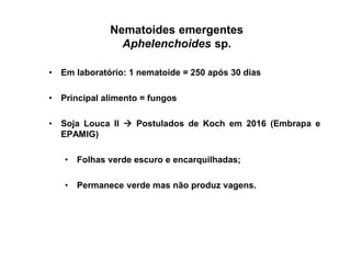 Nematoides emergentes
Aphelenchoides sp.
• Em laboratório: 1 nematoide = 250 após 30 dias
• Principal alimento = fungos
• Soja Louca II  Postulados de Koch em 2016 (Embrapa e
EPAMIG)
• Folhas verde escuro e encarquilhadas;
• Permanece verde mas não produz vagens.
 