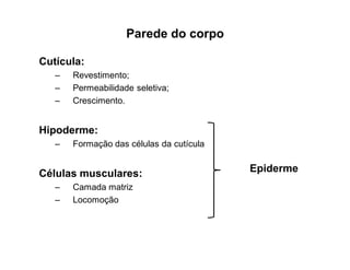 Parede do corpo
Cutícula:
– Revestimento;
– Permeabilidade seletiva;
– Crescimento.
Hipoderme:
– Formação das células da cutícula
Células musculares:
– Camada matriz
– Locomoção
Epiderme
 