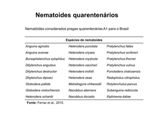 Nematoides quarentenários
Espécies de nematoides
Anguina agrostis Heterodera punctata Pratylenchus fallax
Anguina avenae Heterodera oryzea Pratylenchus scribneri
Bursaphelenchus xylophilus Heterodera oryzicola Pratylenchus thornei
Ditylenchus angustus Heterodera sacchari Pratylenchus vulnus
Ditylenchus destructor Heterodera trofolii Punctodera chalcoensis
Ditylenchus dipsaci Heterodera zeae Radopholus citropholus
Globodera pallida Meloidogyne chitwoodii Rotylenchulus parvus
Globodera rostochiensis Nacobbus aberrans Subanguina radicicola
Heterodera schantii Nacobbus dorsalis Xiphinema italiae
Nematóides considerados pragas quarentenárias A1 para o Brasil
Fonte: Ferraz et al., 2010.
 