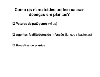 Como os nematoides podem causar
doenças em plantas?
 Vetores de patógenos (vírus)
 Agentes facilitadores de infecção (fungos e bactérias)
 Parasitas de plantas
 