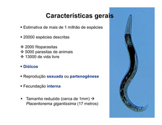 Características gerais
 Estimativa de mais de 1 milhão de espécies
 20000 espécies descritas
 2000 fitoparasitas
 5000 parasitas de animais
 13000 de vida livre
 Dióicos
 Reprodução sexuada ou partenogênese
 Fecundação interna
 Tamanho reduzido (cerca de 1mm) 
Placentonema gigantissima (17 metros)
 