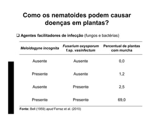 Como os nematoides podem causar
doenças em plantas?
 Agentes facilitadores de infecção (fungos e bactérias)
Fonte: Bell (1959) apud Ferraz et al. (2010)
Meloidogyne incognita
Fusarium oxysporum
f.sp. vasinfectum
Percentual de plantas
com murcha
Ausente Ausente 0,0
Presente Ausente 1,2
Ausente Presente 2,5
Presente Presente 69,0
 