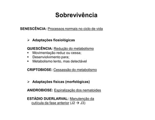 Sobrevivência
 Adaptações fiosiológicas
QUIESCÊNCIA: Redução do metabolismo
 Movimentação reduz ou cessa;
 Desenviolvimento para;
 Metabolismo lento, mas detectável
CRIPTOBIOSE: Cessassão do metabolismo
 Adaptações físicas (morfológicas)
ANIDROBIOSE: Espiralização dos nematoides
ESTÁDIO DUERLARVAL: Manutenção da
cutícula da fase anterior (J2  J3)
SENESCÊNCIA: Processos normais no ciclo de vida
 