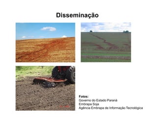 Disseminação
Fotos:
Governo do Estado Paraná
Embrapa Soja
Agência Embrapa de Informação Tecnológica
 