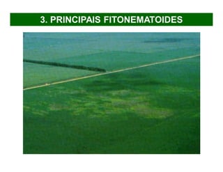 3. PRINCIPAIS FITONEMATOIDES
 