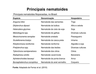 Principais nematoides
Espécie Denominação Hospedeiro
Anguina tritici Nematoide das sementes Trigo
Ditylenchus dipsaci Nematoide de bulbos Alho e cebola
Heterodera glycines Nematoide de cisto da soja Soja
Meloidogyne spp. Nematoide de galhas Diversas culturas
Mesocriconema xenoplax Nematoide anelado Pessegueiro
Scutellonema bradys Nematoide da casca preta Inhame
Rotylenchulus reniformis Nematoide reniforme Algodão e soja
Pratylenchus spp. Nematoide das lesões Diversas culturas
Tylenchulus semipenetrans Nematoide dos citros Citros
Radopholus similis Nematoide cavernícola Bananeira
Aphelenchoides besseyi Nematoide da ponta branca Arroz
Bursaphelenchus cocophilus Nematoide do anel vermelho Coqueiro
Fonte: Adaptado de Ferraz et al. (2010)
Principais nematoides fitoparasitas, no Brasil.
 