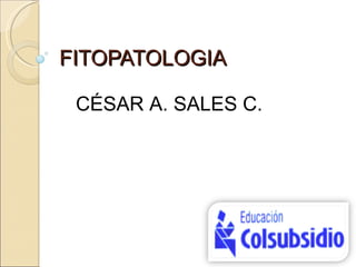 FITOPATOLOGIA CÉSAR A. SALES C. 