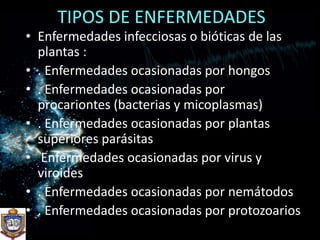TIPOS DE ENFERMEDADESEnfermedades infecciosas o bióticas de las plantas :. Enfermedades ocasionadas por hongos. Enfermedades ocasionadas por procariontes (bacterias y micoplasmas). Enfermedades ocasionadas por plantas superiores parásitas Enfermedades ocasionadas por virus y viroides. Enfermedades ocasionadas por nemátodos. Enfermedades ocasionadas por protozoarios