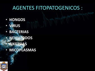 AGENTES FITOPATOGENICOS :HONGOS VIRUSBACTERIAS NEMATODOSRIKETSIASMICOPLASMAS 
