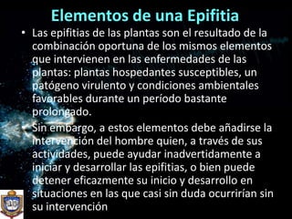 Elementos de una EpifitiaLas epifitias de las plantas son el resultado de la combinación oportuna de los mismos elementos que intervienen en las enfermedades de las plantas: plantas hospedantes susceptibles, un patógeno virulento y condiciones ambientales favorables durante un período bastante prolongado. Sin embargo, a estos elementos debe añadirse la intervención del hombre quien, a través de sus actividades, puede ayudar inadvertidamente a iniciar y desarrollar las epifitias, o bien puede detener eficazmente su inicio y desarrollo en situaciones en las que casi sin duda ocurrirían sin su intervención