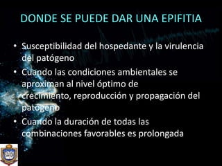 DONDE SE PUEDE DAR UNA EPIFITIASusceptibilidad del hospedante y la virulencia del patógeno Cuando las condiciones ambientales se aproximan al nivel óptimo de crecimiento, reproducción y propagación del patógenoCuando la duración de todas las combinaciones favorables es prolongada