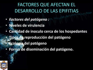 FACTORES QUE AFECTAN EL DESARROLLO DE LAS EPIFITIASFactores del patógeno :Niveles de virulenciaCantidad de inoculo cerca de los hospedantesTipos de reproducción del patógenoEcología del patógenoForma de diseminación del patógeno.