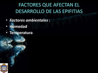 FACTORES QUE AFECTAN EL DESARROLLO DE LAS EPIFITIASFactores ambientales :HumedadTemperatura