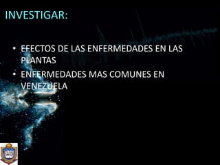  INVESTIGAR:EFECTOS DE LAS ENFERMEDADES EN LAS PLANTASENFERMEDADES MAS COMUNES EN VENEZUELA