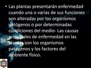 Las plantas presentarán enfermedad cuando una o varias de sus funciones son alteradas por los organismos patógenos o por determinadas condiciones del medio- Las causas principales de enfermedad en las plantas son los organismos patógenos y los factores del ambiente físico.