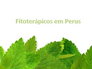 Fitoterápicos
    Perus
 