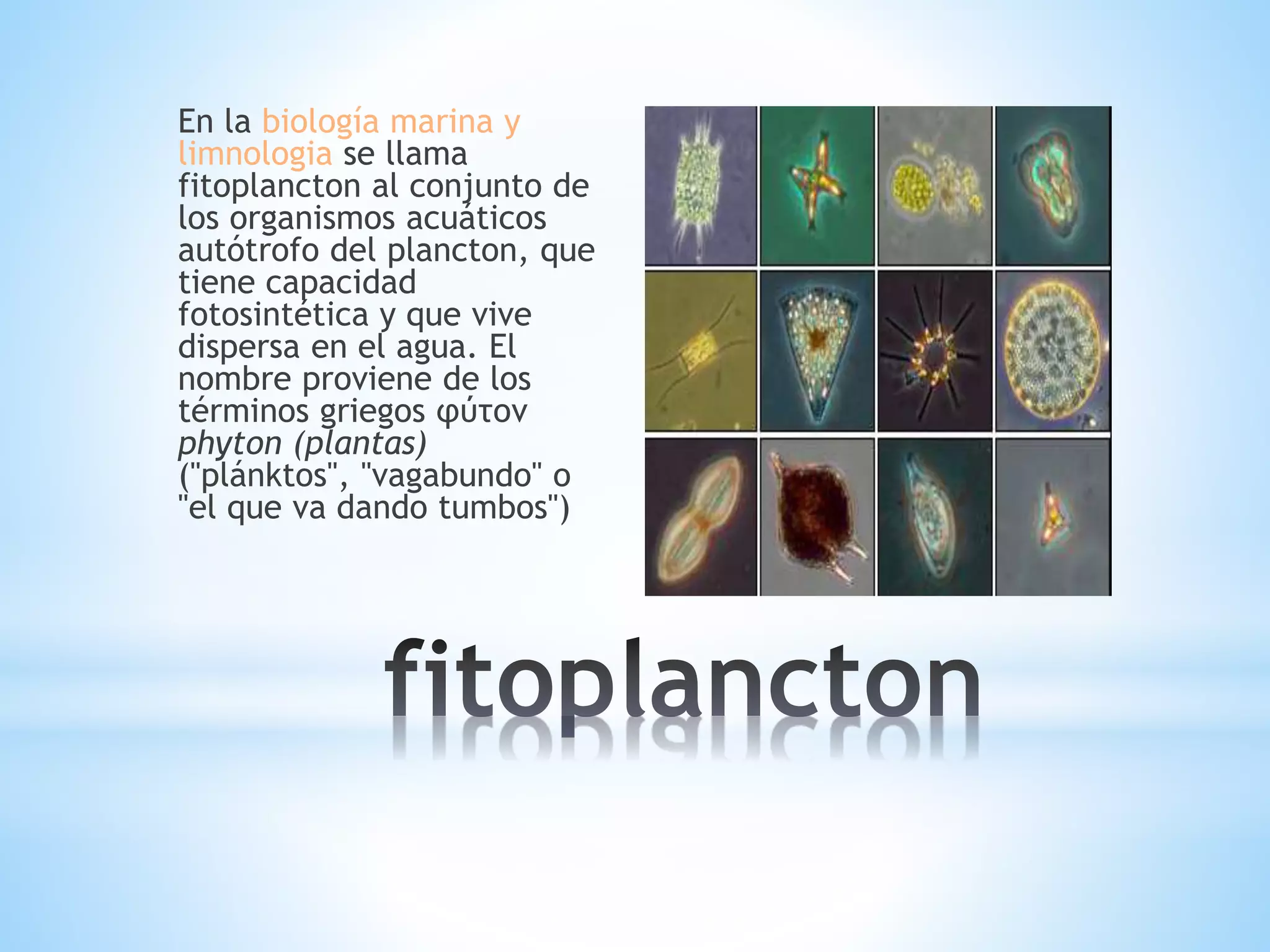 Fitoplancton | PPTX