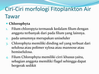 Ciri-Ciri morfologi Fitoplankton Air 
Tawar 
 Chlorophyta 
1. Filum chloropyta termasuk kedalam filum dengan 
anggota terbanyak dari pada filum yang lainnya. 
2. pada umumnya merupakan uniseluler 
3. Chlorophyta memiliki dinding sel yang terbuat dari 
selulosa atau polimer xylosa atau mannose atau 
hemiselulosa. 
4. Filum Chlorophyta memiliki cirri khusus yaitu, 
sebagian anggota memiliki flagel sehingga dapat 
bergerak sedikit 
 